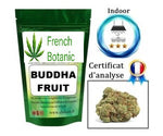 BUDDHA FRUIT  5 à 7% de CBD