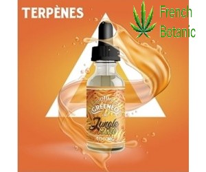 E-liquide CBD Jungle Mango 400mg