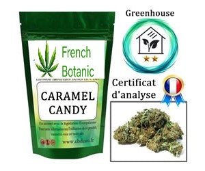 CARAMEL CANDY Greenhouse 2 à 3% de CBD