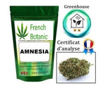 AMNESIA Greenhouse   4 à 6% de CBD