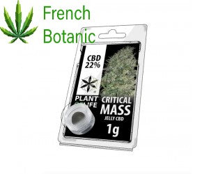 JELLY AU CBD 22% CRITICAL MASS 1g