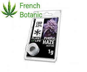 JELLY AU CBD 22% PURPLE HAZE 1g