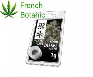 JELLY AU CBD 22% SOUR DIESEL 1g