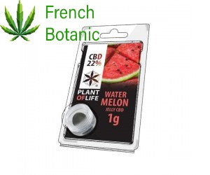 JELLY CBD FRUIT 22% Watermelon 1g