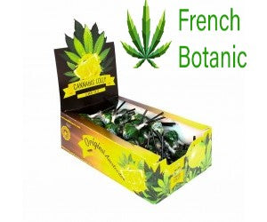 Sucette goût LEMON HAZE lot de 70pcs