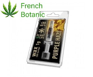 WAX PURPLE HAZE 66% CBD 1ML